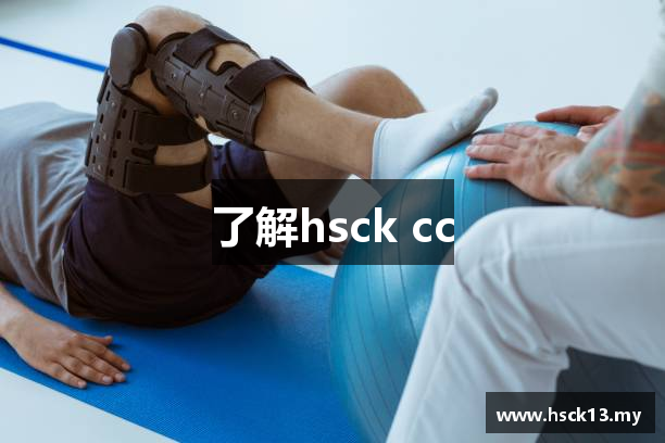 了解hsck cc